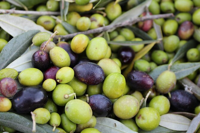 Evo Oil Experience with Oil Tasting and Lunch in the Nature - The Art of Olive Oil Tasting with an Expert