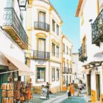 Évora - Full day Private Guided tour from Lisbon by minivan - Convenient Pickup and Small-Group Experience