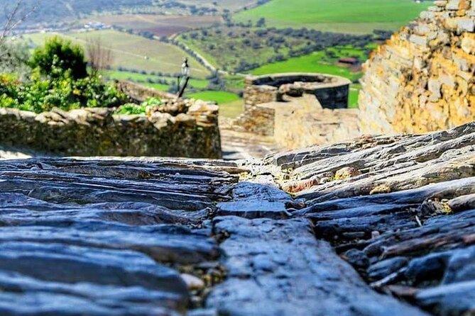 EVORA & MONSARAZ FULL-DAY PRIVATE TOUR with winery, cork & gourmet tavern - Visit to Ervideira Winery and Wine Tasting