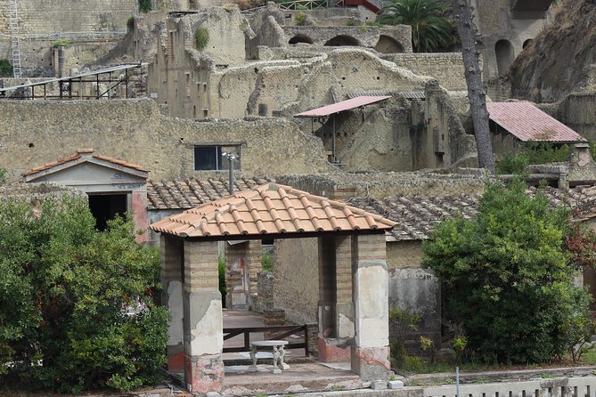 Excavations of Herculaneum. Tour guide and skip-the-line ticket - Starting at the Archaeological Park of Herculaneum