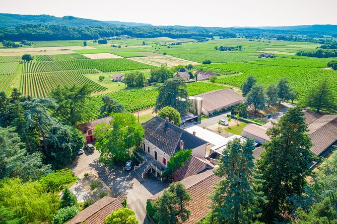 Exceptional visit and tasting of 7 wines - Exploring the Vineyards of Cahors