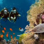 Exciteful Scuba Diving Experience in Antalya - From Hotel Pickup to Briefing: Seamless Start to Your Day