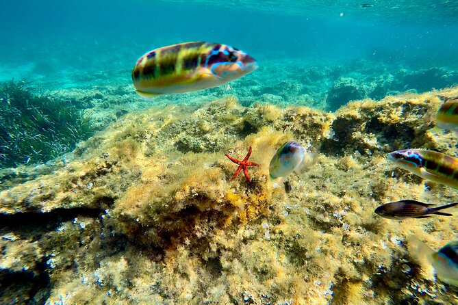 Exclusive boat tour max 9 people tropea capo vatican - Visiting Capo Vaticano’s Cliff of Myths and Legends