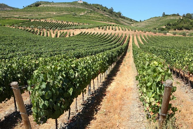 Exclusive Douro Valley: Visit 3 Wineries, 9 Wine Tastings & Lunch - Visiting Peso da Régua: The Heart of Douro Wine Trade