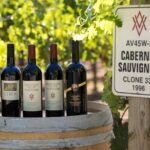 Exclusive Napa Valley Wine Tour - Experience the Scenic Beauty of Napa Valley