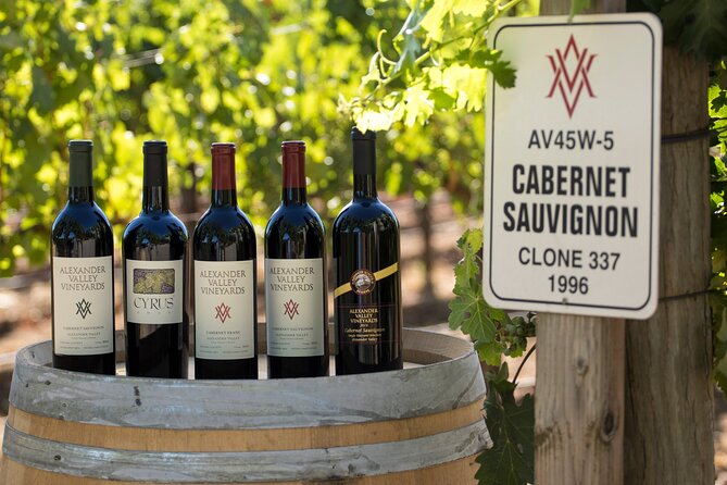 Exclusive Napa Valley Wine Tour - Experience the Scenic Beauty of Napa Valley
