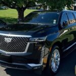 Exclusive Private Transfer Service Across the USA - Meet-and-Greet at the Airport: How It Works