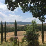 Exclusive Private Tuscany Wine Tour & Food Pairing Session - Visiting Three Distinct Wineries