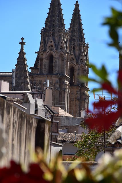Exclusive Rooftop Paella & Wine  Sunset Dining in Palma - The Private Rooftop Terrace with Unmatched Views