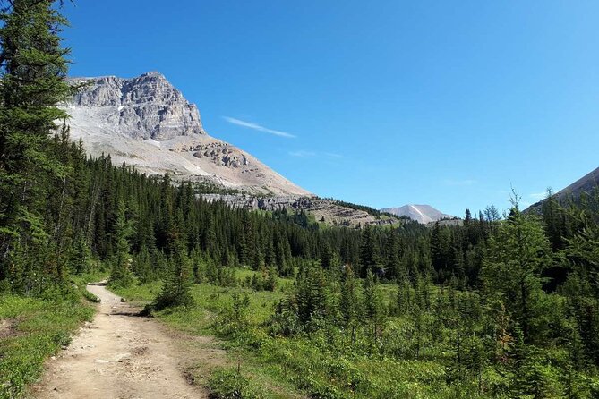Exclusive Skoki Backcountry Guided Hiking in Lake Louise with Van Shuttle - The Trail Through Skoki Valley and Its Surroundings