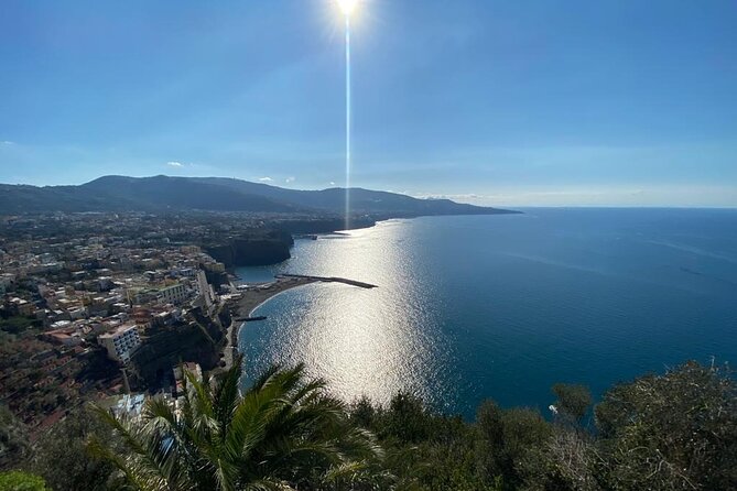 Exclusive tour in Sorrento and Pompeii with transport and tickets - The Convenience of Pickup and Private Transport