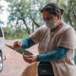 EXCLUSIVE TOUR Teotihuacan - small groups - Exploring the Teotihuacan Archaeological Zone with a Specialist Guide