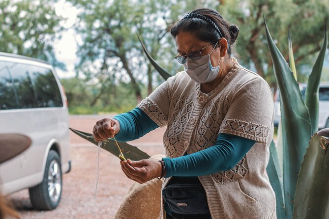 EXCLUSIVE TOUR Teotihuacan - small groups - Exploring the Teotihuacan Archaeological Zone with a Specialist Guide