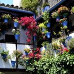 Excursion to Córdoba from Malaga - Highlights of Córdoba’s Main Monuments at Your Leisure