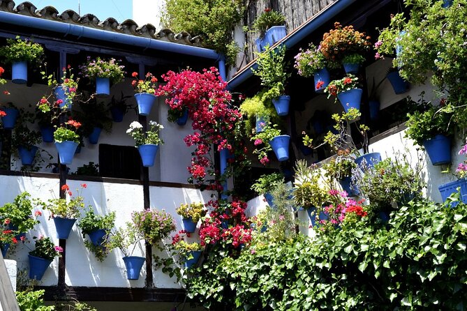 Excursion to Córdoba from Malaga - Highlights of Córdoba’s Main Monuments at Your Leisure