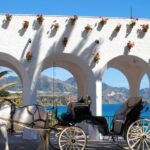 Excursion to Nerja & Frigiliana. - Logistics: Pickup, Transport, and Group Size