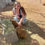 Exotic Animal Encounter Marana, AZ - 15 Friendly Capybara - The Location and Meeting Point in Marana, AZ