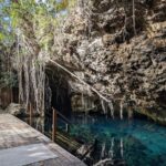 Exotik half a day tour: Cenote Cave and Swimming with Sea Turtles - Exploring Cenote Nohoch in the Jungle Oasis