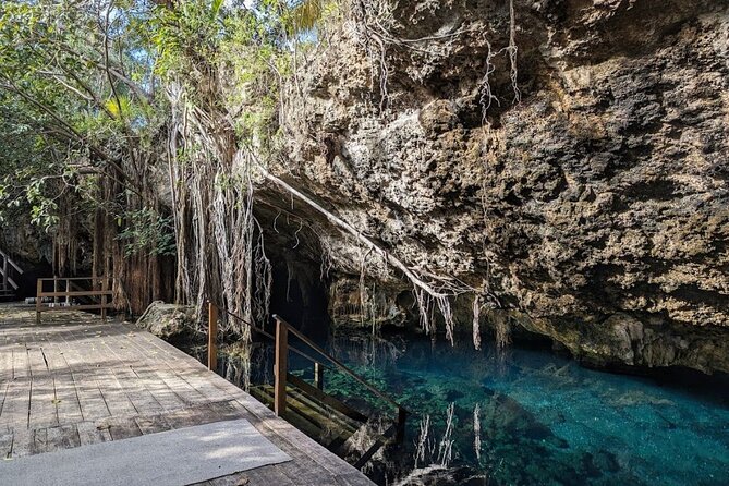 Exotik half a day tour: Cenote Cave and Swimming with Sea Turtles - Exploring Cenote Nohoch in the Jungle Oasis