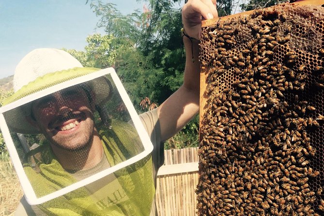 Experience Our Honey Farm And Beekeeping Tour - What’s Included in the Honey Farm Tour