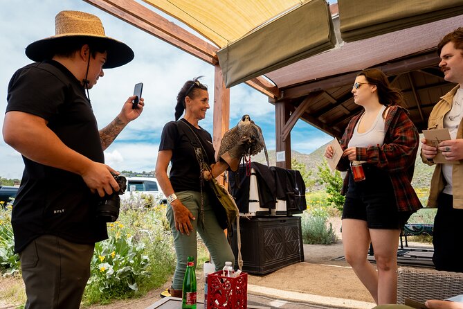 Experience Raptors and Falconry in Reno - The Educational Focus: Biology, Conservation, and Natural History