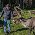 Experience Reindeer Farm and Ranua Wildlife Park in Rovaniemi - Ranua Wildlife Park: Lapland’s Leading Animal Attraction