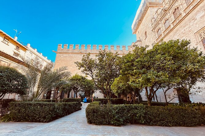 Experience Valencias Historical Heart: A Self-Guided Audio Tour - Starting Point at the Palace of the Marqués de Dos Aguas