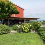 Experience Valpolicella: visit and tasting near Verona - How the Valpolicella Tasting Unfolds