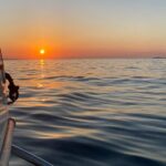 Experience Zadar Archipelago with private Antares sailing tour - Exploring Oljak’s Traditional Mediterranean Architecture