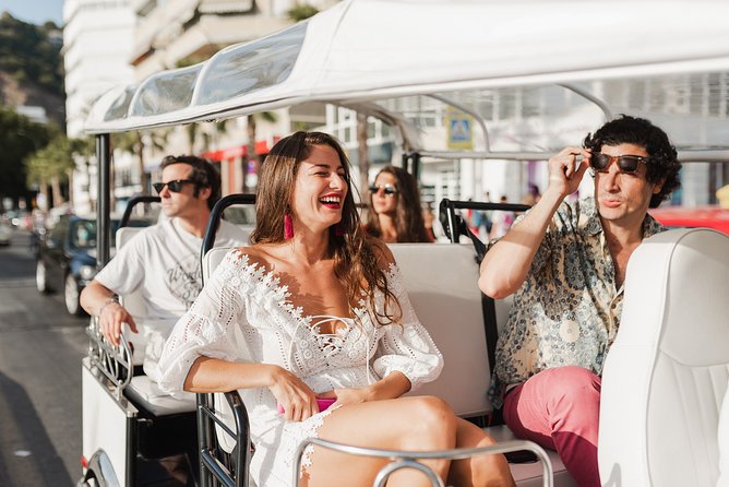 Expert Tour of Malaga in Private Eco Tuk Tuk - University of Malaga’s Academic Hub and Local Life