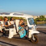 Expert Tour of Seville in Private Eco Tuk Tuk - Convenient Departure from Parking APK2 in Seville