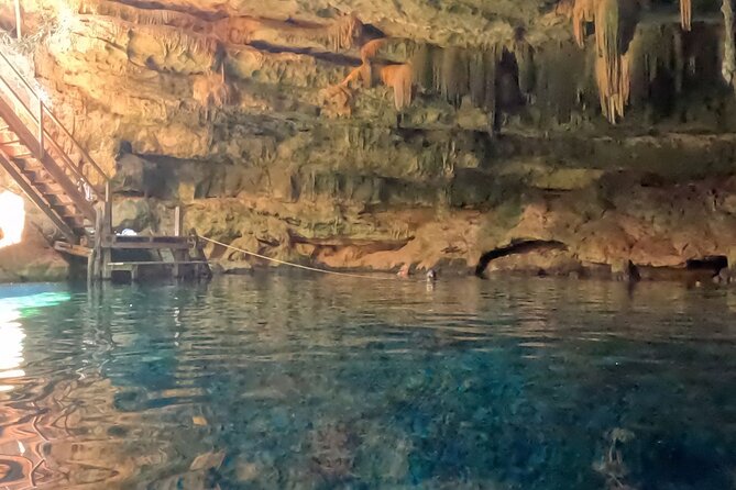 Explore 4 Amazing Cenotes with Lunch Tour from Merida - Visiting Remote and Rustic Cenotes