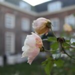 Explore hidden streets with friends - Private Tour - Discovering the Amsterdam Canal Ring and Medieval Expansion