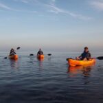 Explore Mangrove Creeks with an All Day SUP/single kayak Rental - Wildlife Encounters and Bird Watching Opportunities