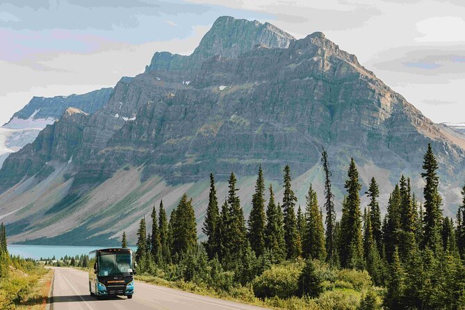 Explore Moraine and Louise Roundtrip from Banff Shared Bus Tour - Visiting Lake Louise: The Iconic First Stop