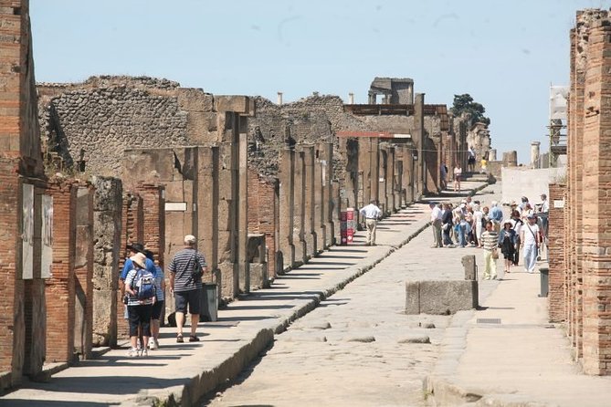 Explore Pompeii: 2-Hour Guided Walking Tour with Included Ticket - What the Tour Covers: The Pompeii Archaeological Park