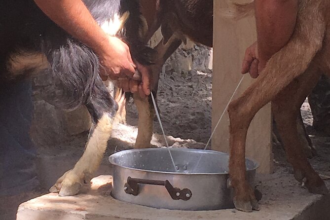 Explore Shepherds Hut and Cheese Making Process - Visit the Apithano Honey Museum for Tasting and Learning