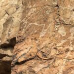 Explore Tanbaly and Tamgaly Tas in 1 day! - The Unique Experience at Tamgaly Tas