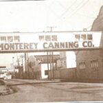 Explore the Cannery Row most visitors never see! - The Role of Local Wildlife and Marine Life