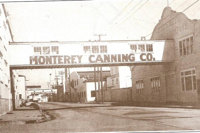 Explore the Cannery Row most visitors never see! - The Role of Local Wildlife and Marine Life