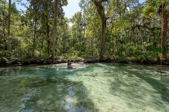 Explore The Chaz: Exclusive Clear Kayak Tours Near Crystal River - The Location: Crystal River and Homosassas Natural Wonders