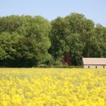 Explore the Cotswolds (Private Day Tour from London) - Visiting Chipping Norton: The Highest Town in Oxfordshire