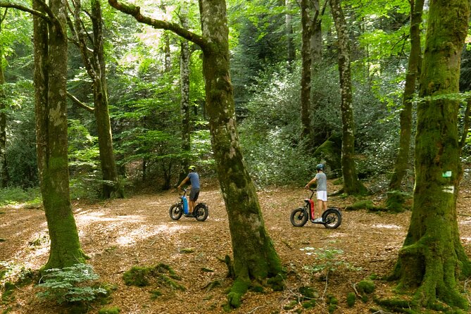 Explore the forests of Haut Languedoc on an electric scooter - Guided Routes with GPS for Hidden Corners