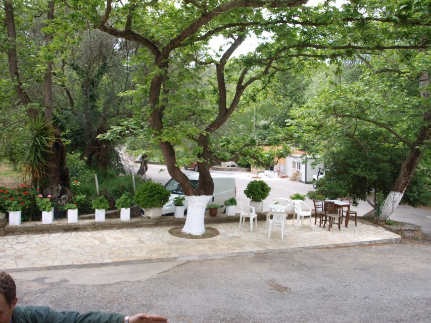 Explore the Secrets of Wine and Olives in Chania - Visiting the 3,000-Year-Old Olive Tree at Ano Vouves