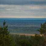 Explore the Wilderness (Summer & Autumn) - Starting Point and Convenient Pickup in Rovaniemi