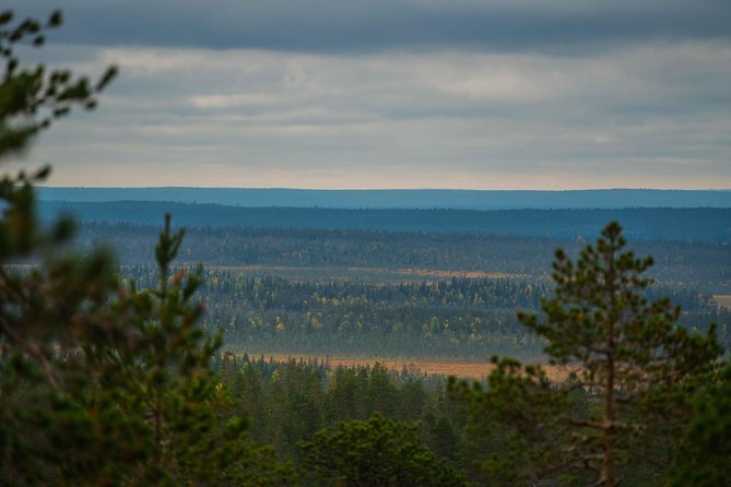 Explore the Wilderness (Summer & Autumn) - Starting Point and Convenient Pickup in Rovaniemi
