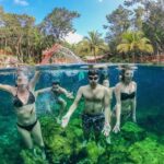 Explore Tulum and Swim in 4 cenotes (Casa Tortugas) from Tulum City - Visiting Casa Tortuga: Four Unique Cenotes Await