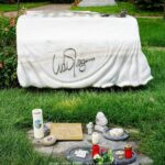 Explore Vienna's Central Cemetery: Private 2.5-hour Guided Tour - Starting Point and Transportation Logistics in Vienna