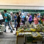 Exploring Capri and Anacapri from Rome: Sea and City Day Trip - From Naples to Capri: Private Transfer and Scenic Crossing