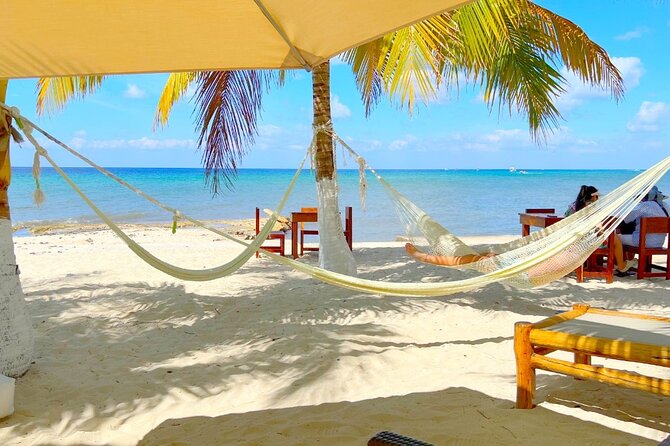 Exploring the Island: 5 Destinations in a One Day Tour - Relaxing at Palm Beach Punta Francesa